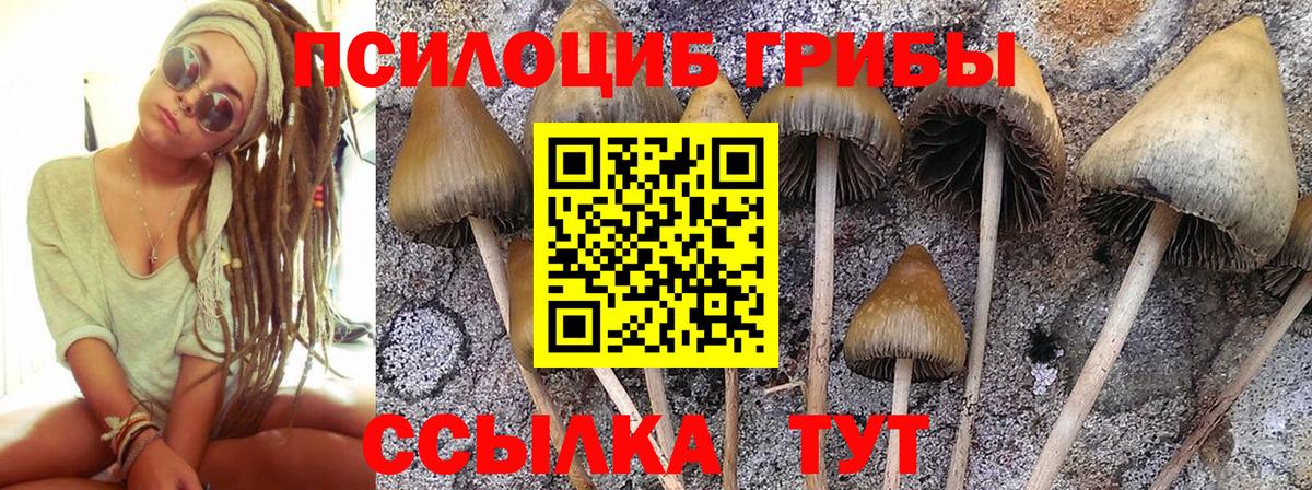 Галлюциногенные грибы MAGIC MUSHROOMS Ирбит