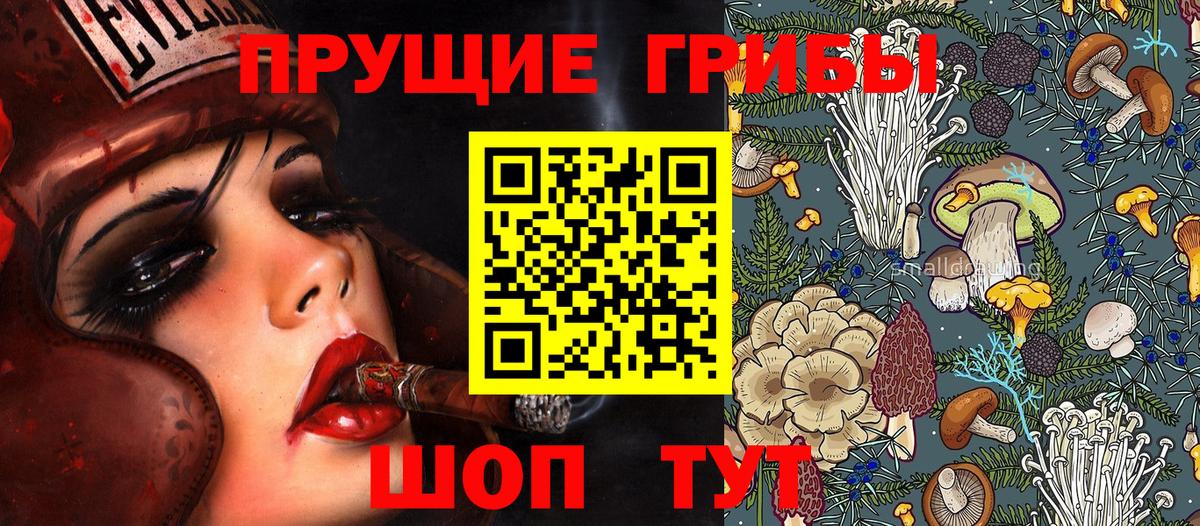 Ирбит  Галлюциногенные грибы прущие грибы  Вход с VPN 